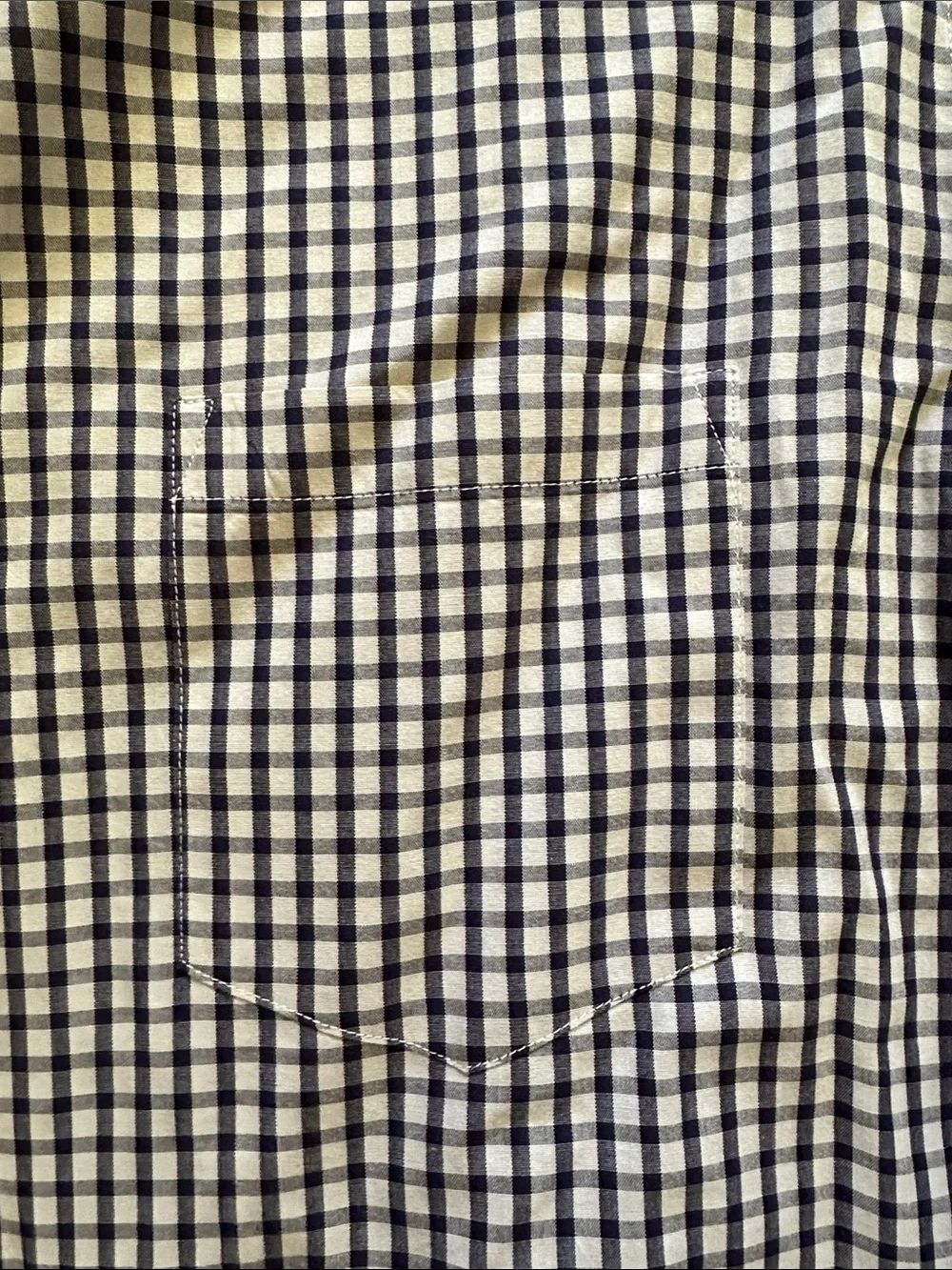 J. Crew Men’s Navy and White Gingham Button-Down Shirt